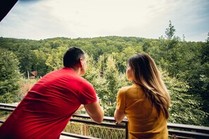 Premium Cottage, Multiple Beds, Mountain View | View from room