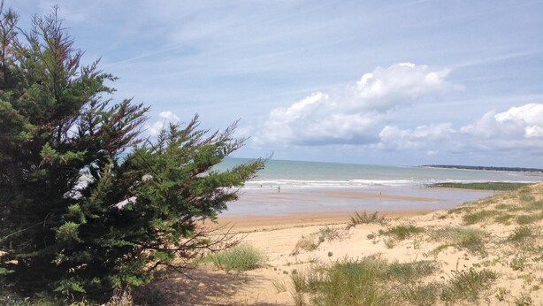 Une plage avec des dunes de sable et une végétation clairsemée.