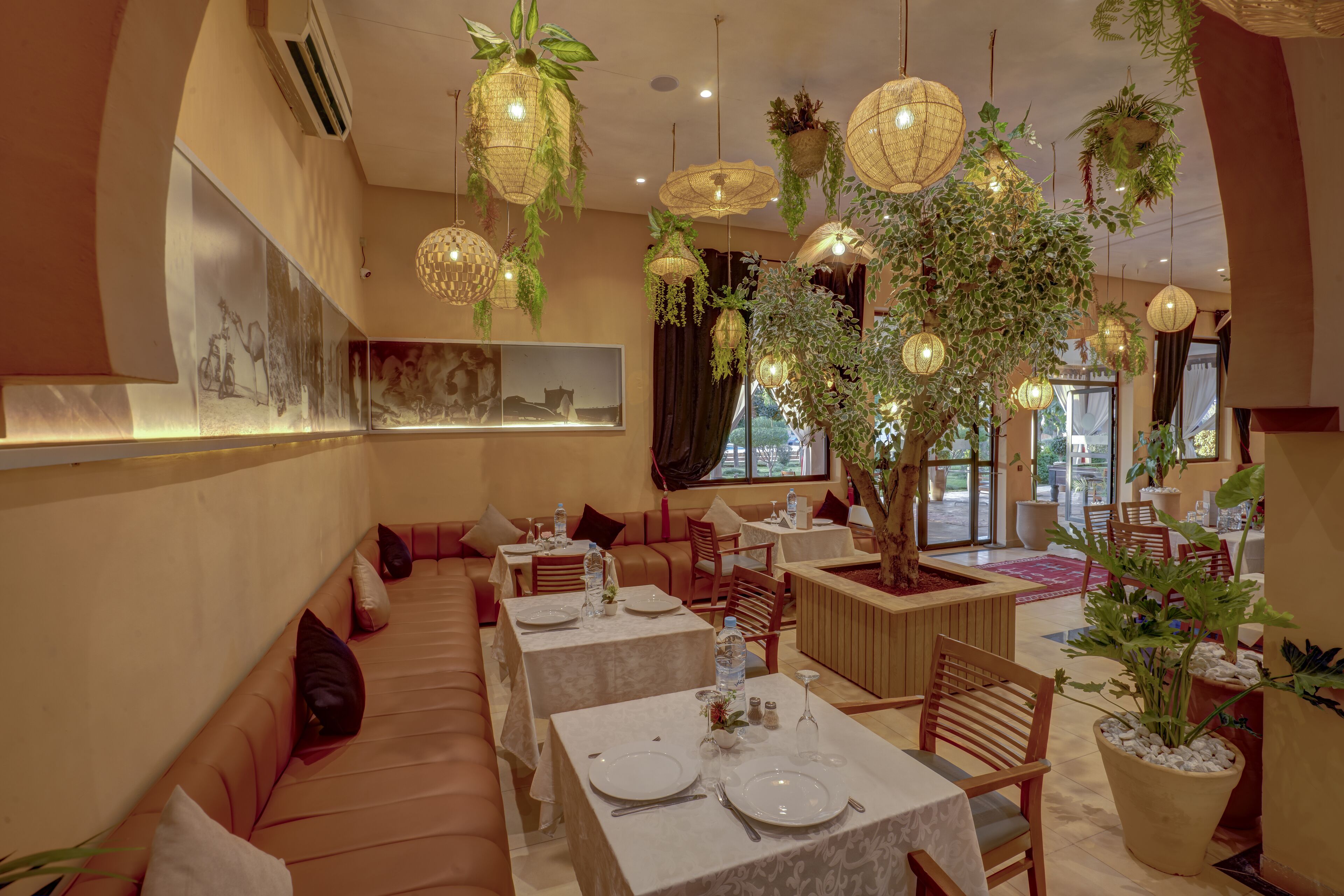 Un ristorante con una lunga area salotto a panche, tavoli con tovaglie bianche, piante sospese e un grande albero come elemento decorativo.