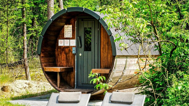 Unclassified image, 1 of 41, button - Cozy home in Ommen with sauna (Ommen)