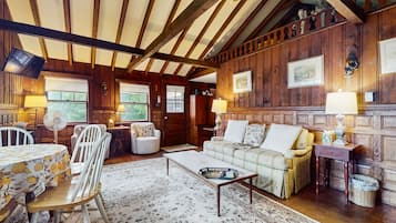 TV, fireplace, books