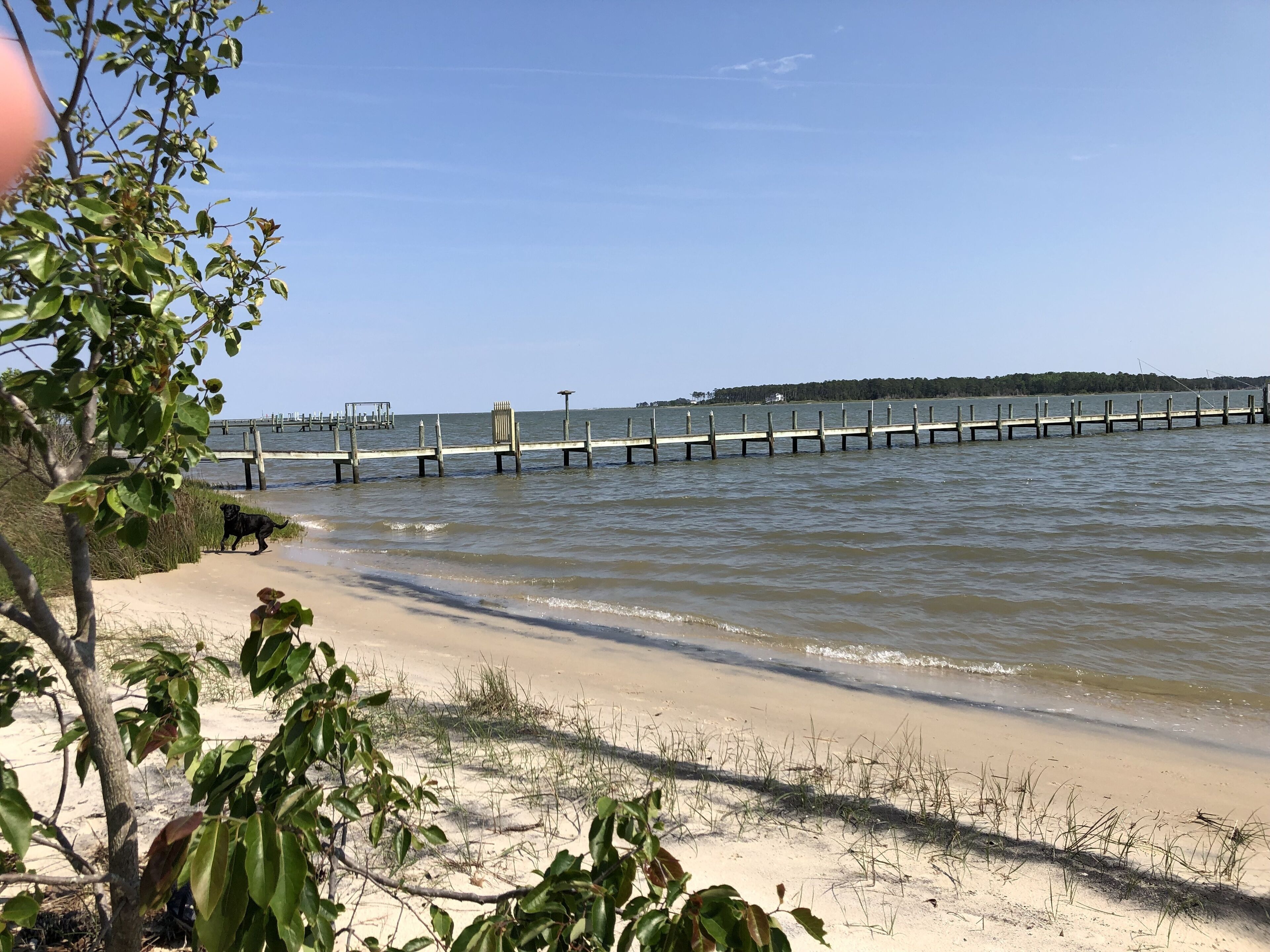 Plage, chaises longues, serviettes de plage