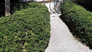 Fachada del alojamiento