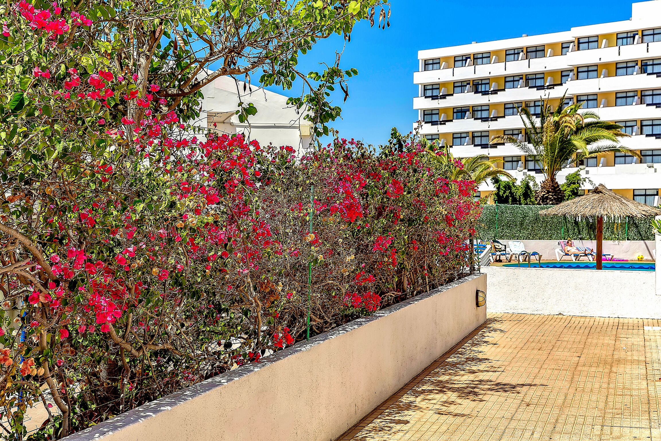 Un hôtel doté d’une piscine, entouré d’une végétation luxuriante et de fleurs roses.