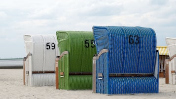 Beach chairs with numbers 59, 55, and 63 on a sandy beach.