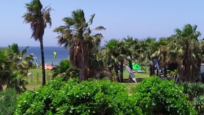 A coastal area with palm trees, a grassy field, and a clear blue sky. - MammaColette (Marsala)