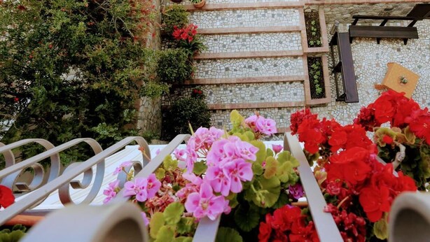 A staircase with a mosaic wall, metal railings, and potted plants with red and pink flowers. - Zama Bed&Breakfast (Scalea)