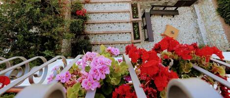 Área da propriedade