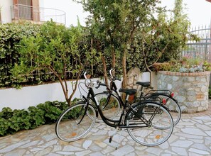 Property grounds - Zama Bed&Breakfast (Scalea)
