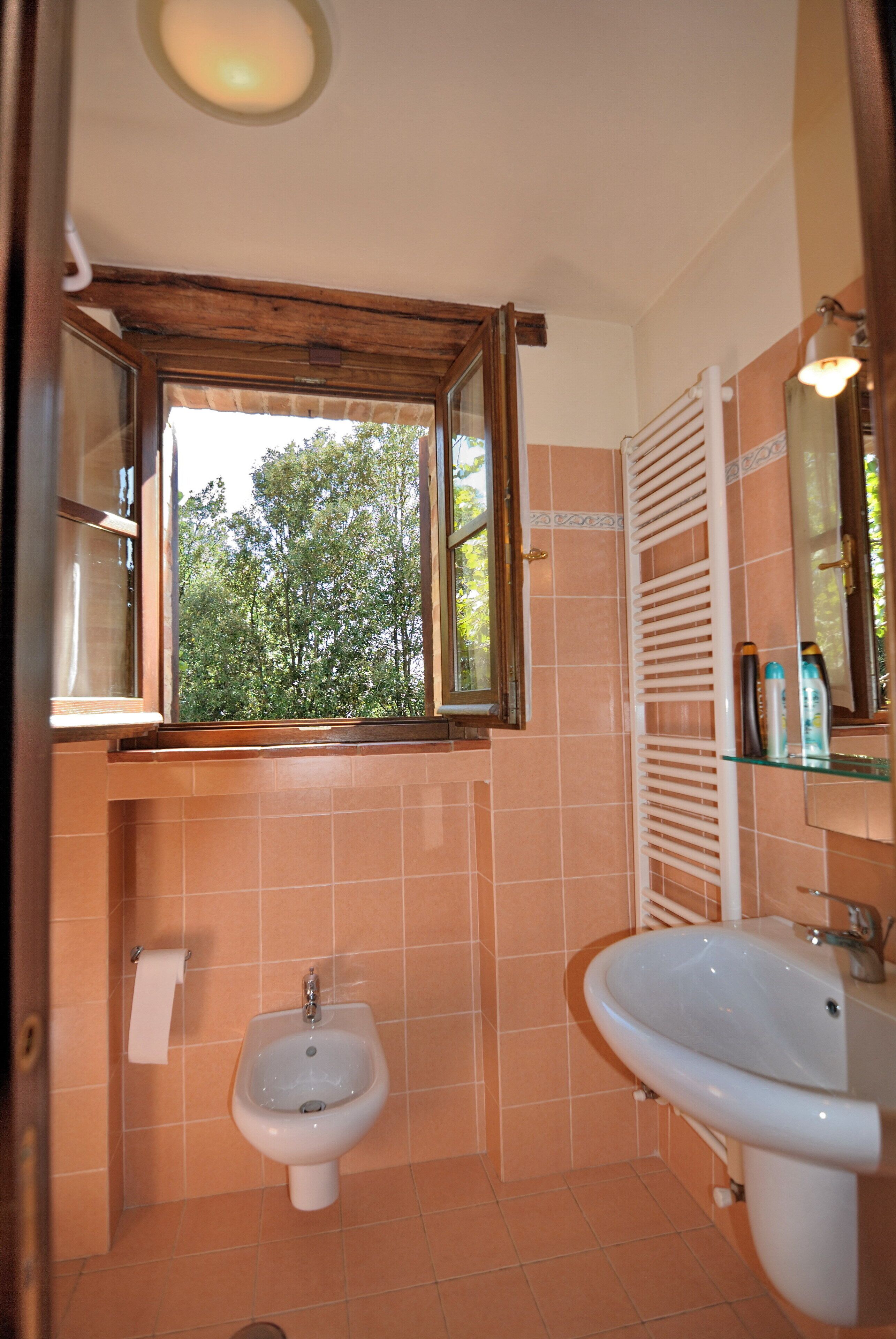 Un baño con ventana, un bidé, un lavamanos y un perchero para toallas.