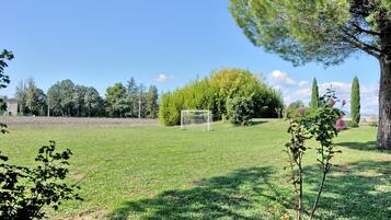 Un campo cubierto de césped con un arco de fútbol, árboles y cielo despejado.