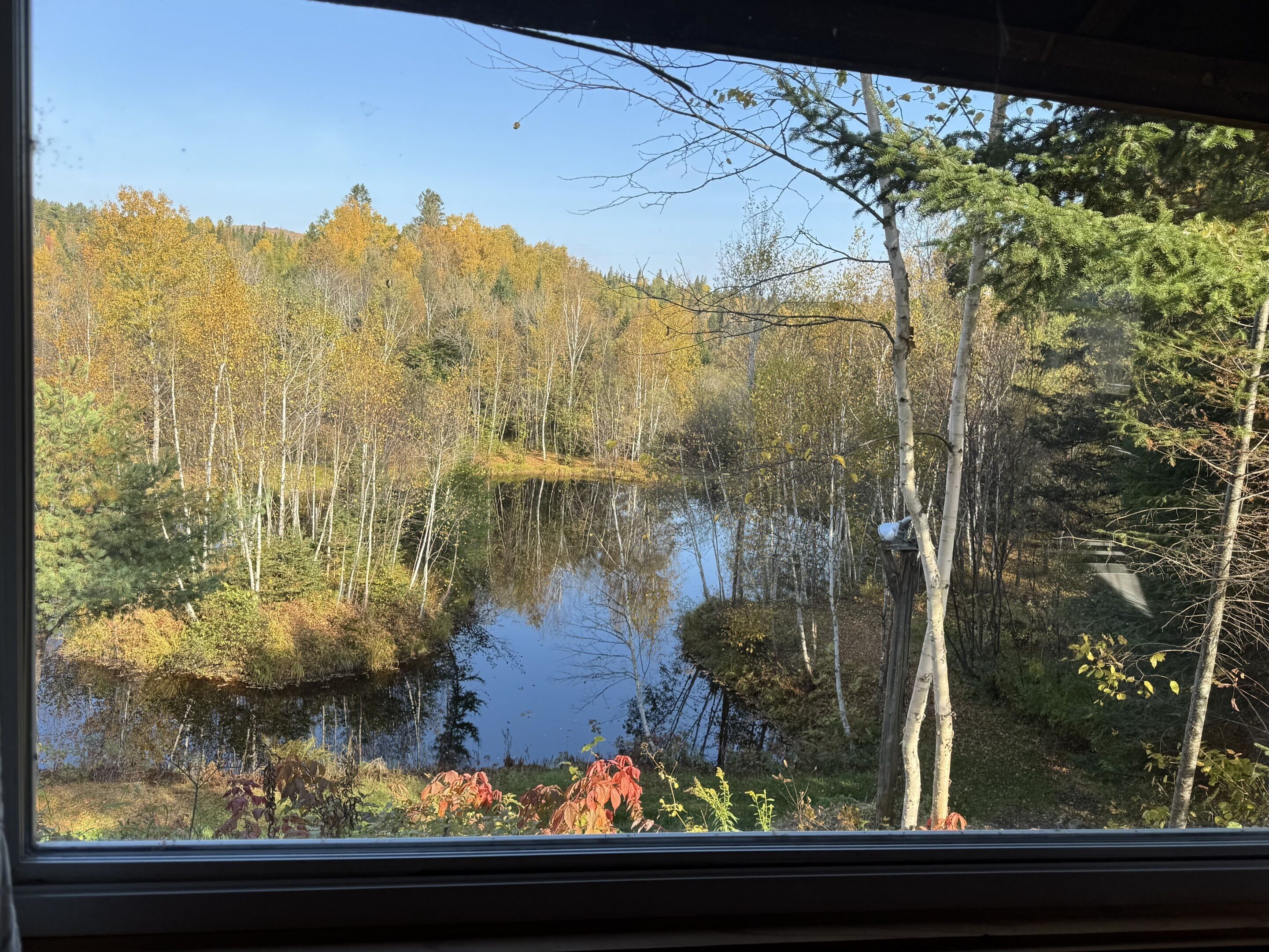 Camera tripla, bagno privato, vista cortile (L'Observatoire) | Vista dalla struttura