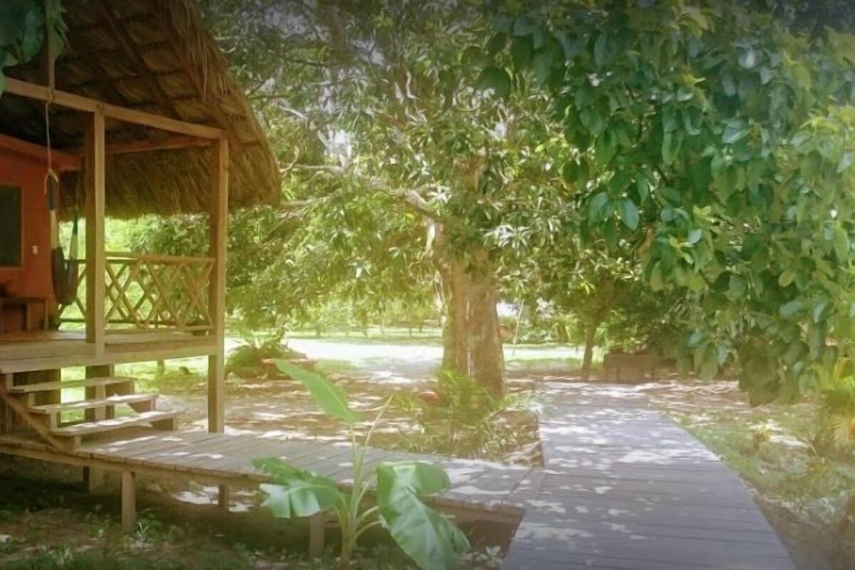 شر فة/رواق