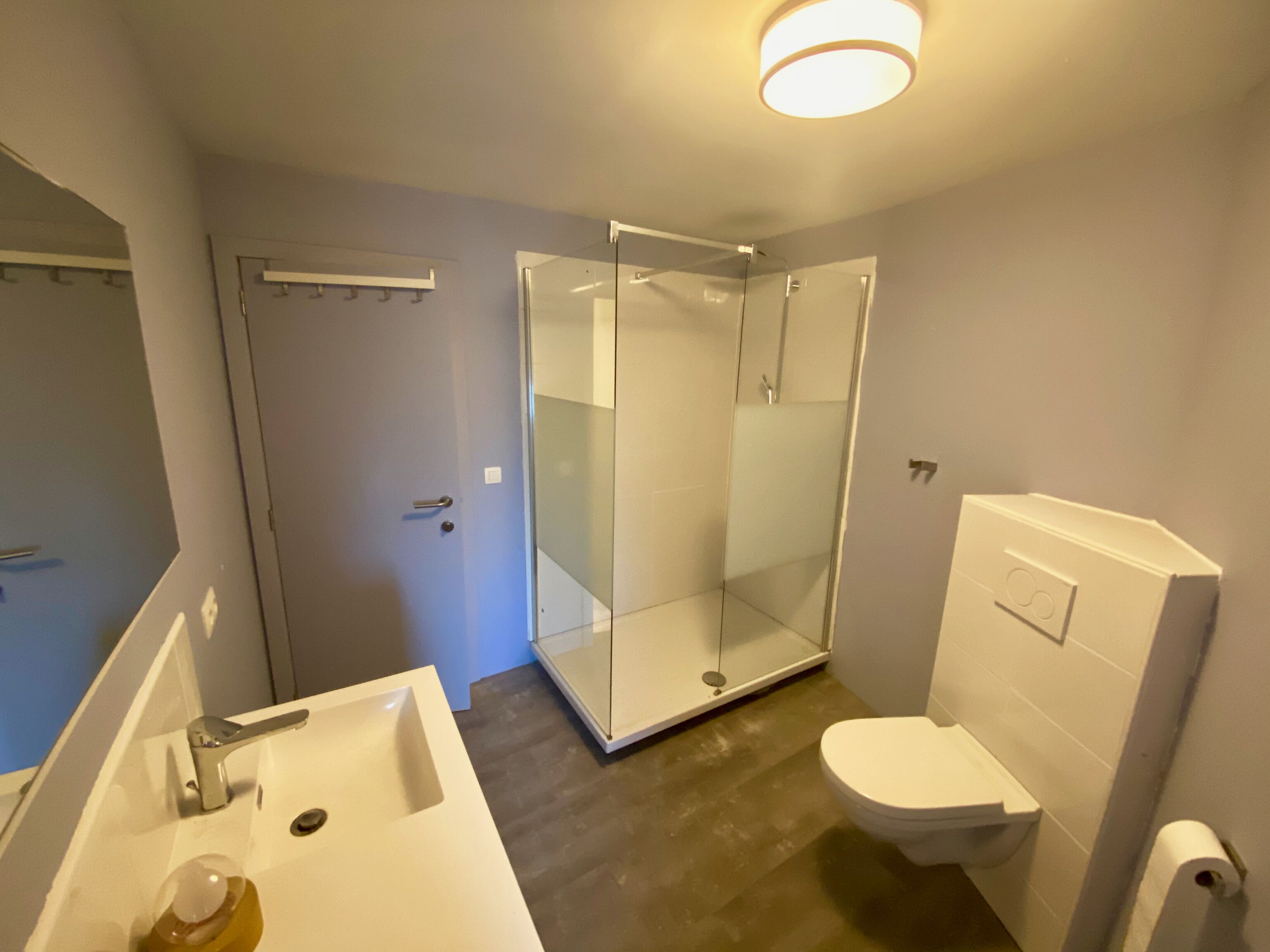 A modern bathroom with a glass shower enclosure, a white sink, and a toilet.