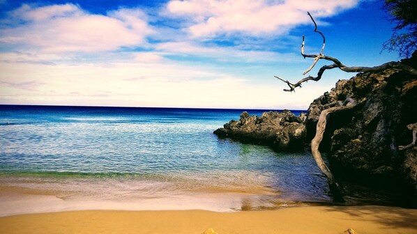 Nær stranden, solsenger og strandhåndklær