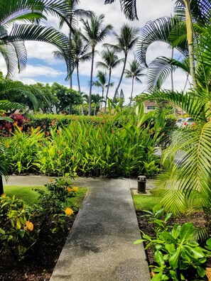 Overnattingsstedets uteområder