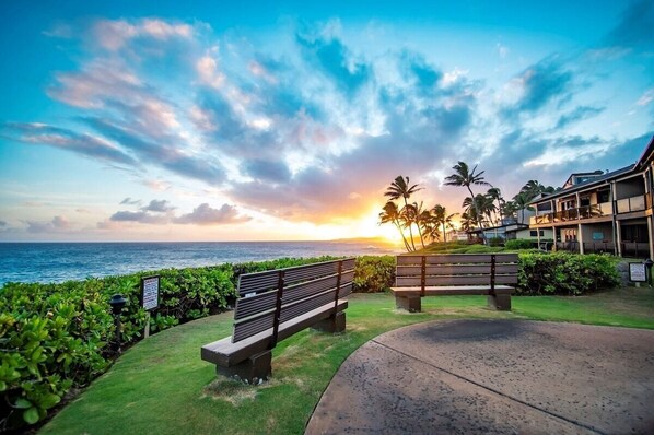 Overnatningsstedets område