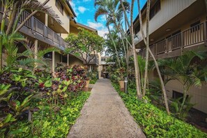Property grounds - Turquoise Turtle - Pool, AC,Scenic Walking Path (Koloa)