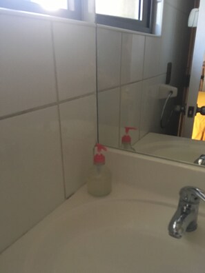 Combined shower/tub, hair dryer, towels, soap - Bohemian house Rhapsody (Santiago)