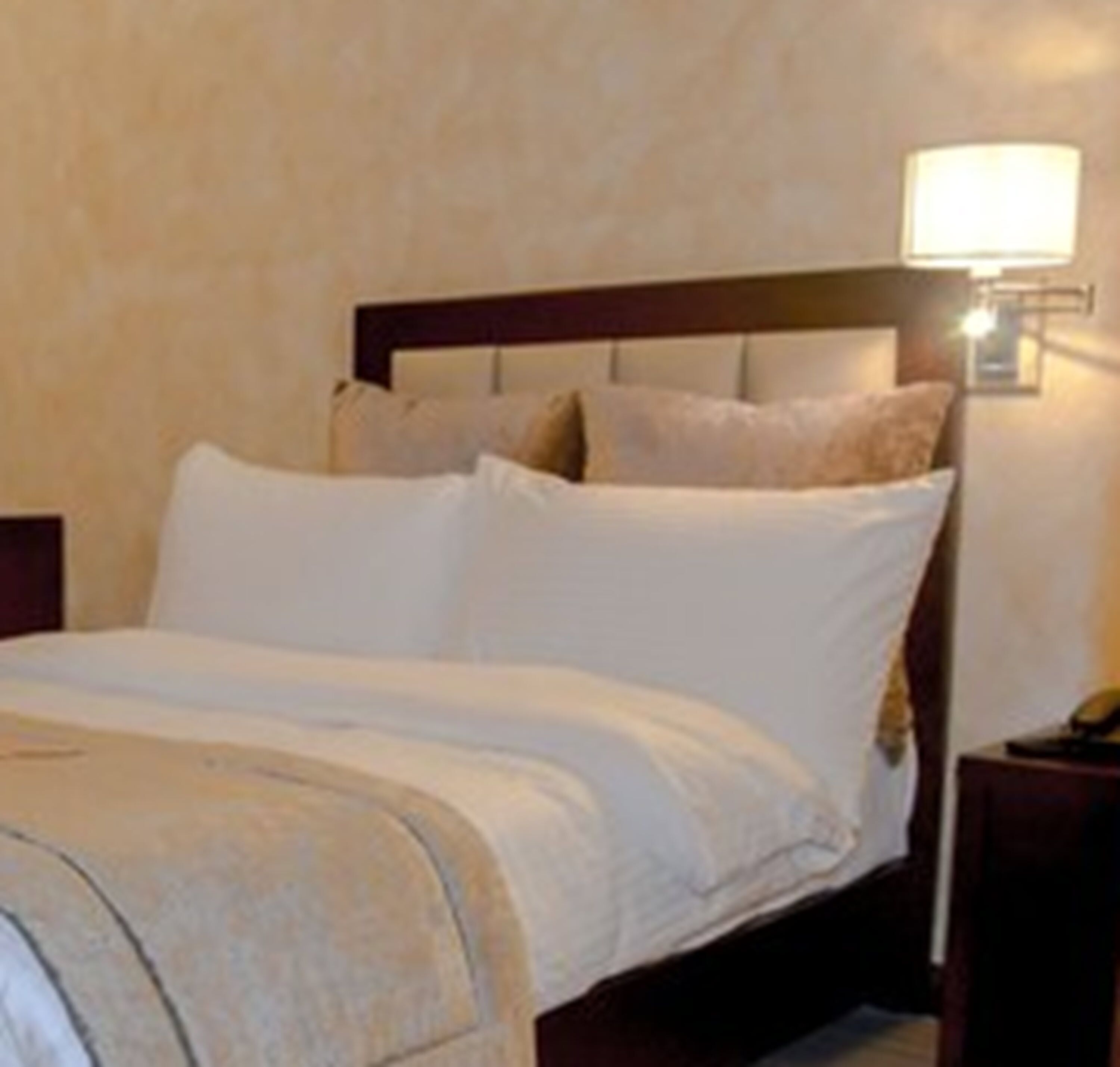 standard single room, 1 single bed | minibar, in-room safe, individually furnished, desk