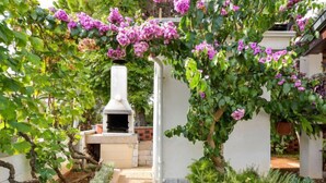 Un giardino con un vialetto in pietra che conduce a un edificio bianco con base in mattoni.