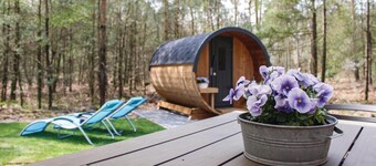 Fantastisk hjem i Ommen med badstue