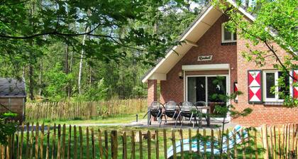 Awesome home in Ommen with sauna