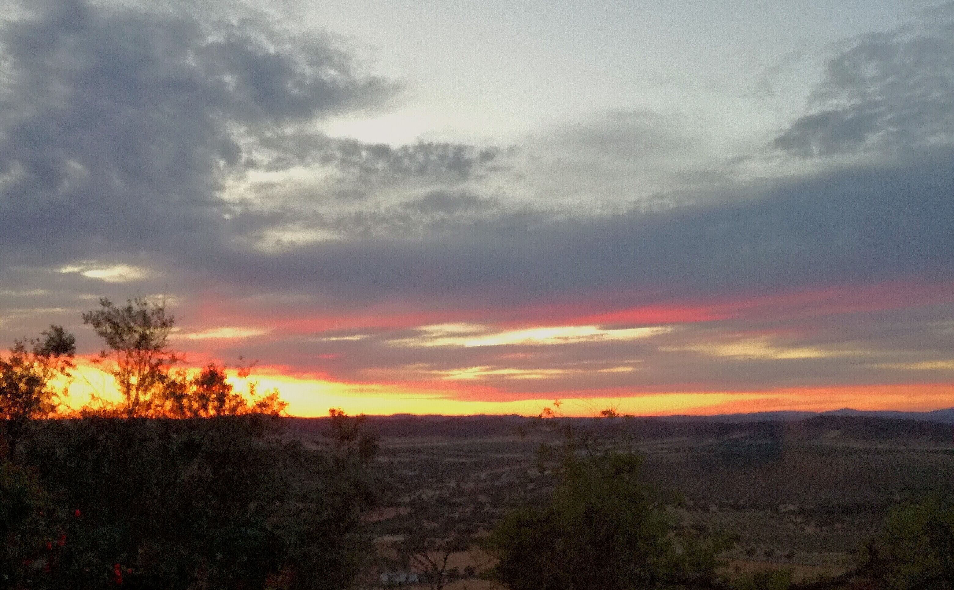 Een zonsondergang boven een vallei met verspreide bomen en een heldere lucht.