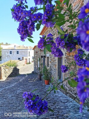 Details aan de buitenkant