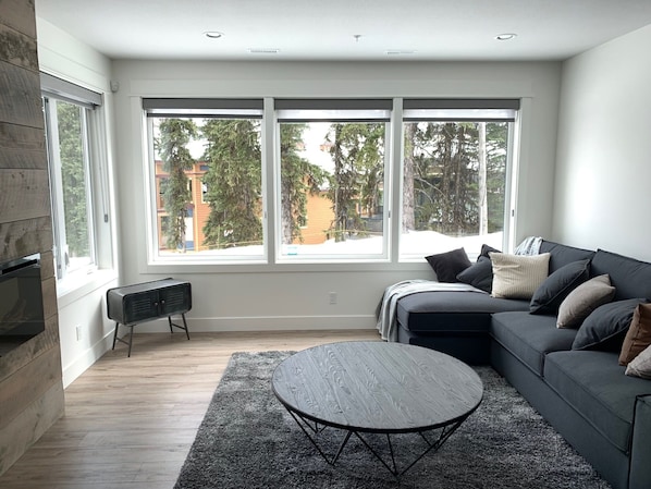 Älytelevisio, takka