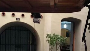 Un patio con un gran portón arqueado, una planta en maceta y una escalera que lleva a un espacio interior.