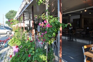 Se sirven desayunos, almuerzos y cenas; cocina turca