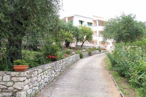 Property grounds - Frankis Apartment 7 Agios Spyridonas Perithia (Corfu)