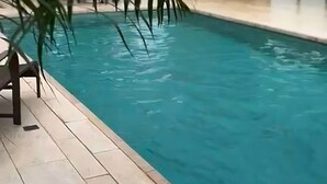 A swimming pool with a tiled deck, surrounded by indoor plants and a modern building structure. - Oasis Hotel (Araguaina)