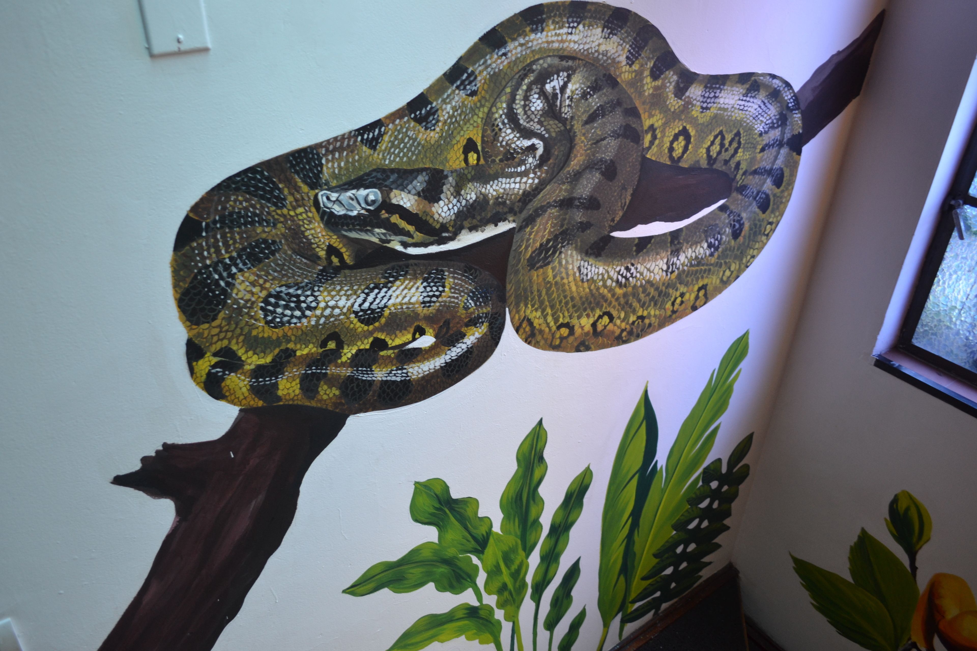 Photo - Casa Candilejas