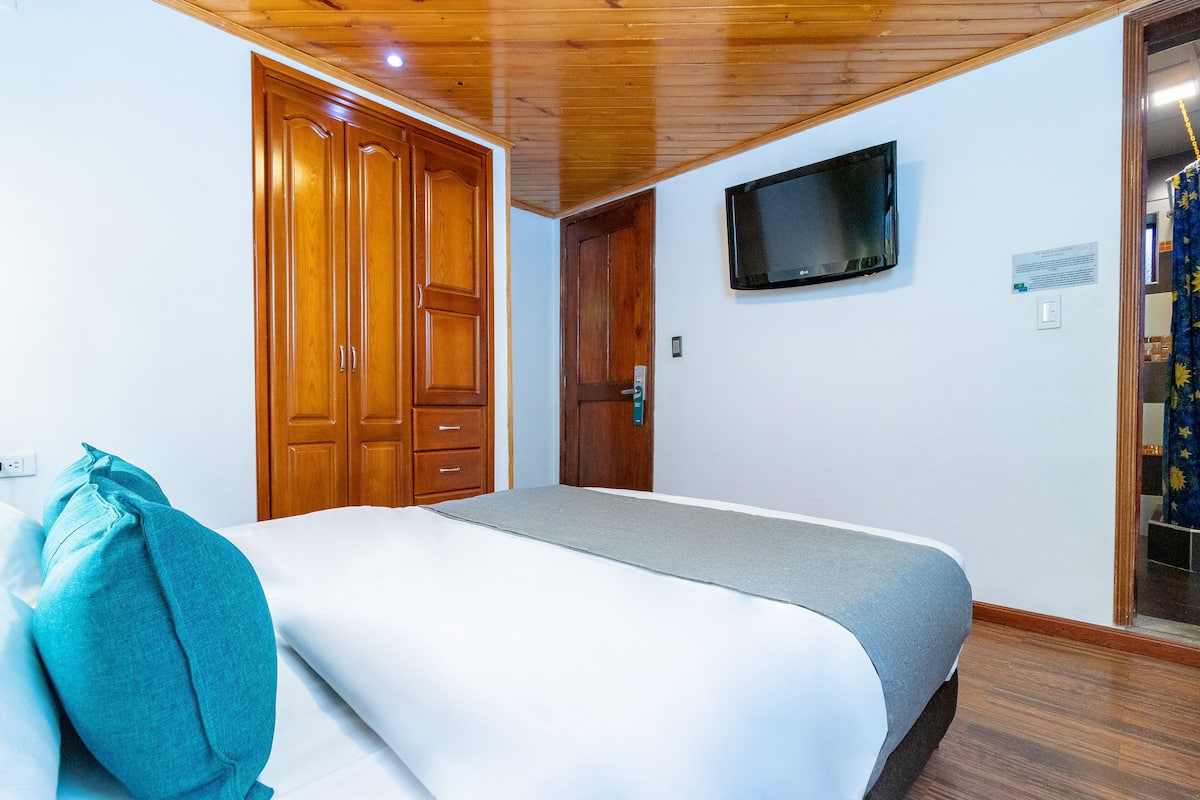 A bedroom with a bed, a wooden wardrobe, a television on the wall, and a door.