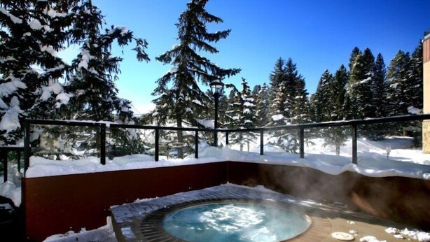 A hot tub surrounded by snow-covered trees and a clear blue sky. - 1 Bedroom Ski in, Ski out Mountain Vacation Rental Located Next to Historic Main Street in Downtown Breckenridge (Breckenridge)