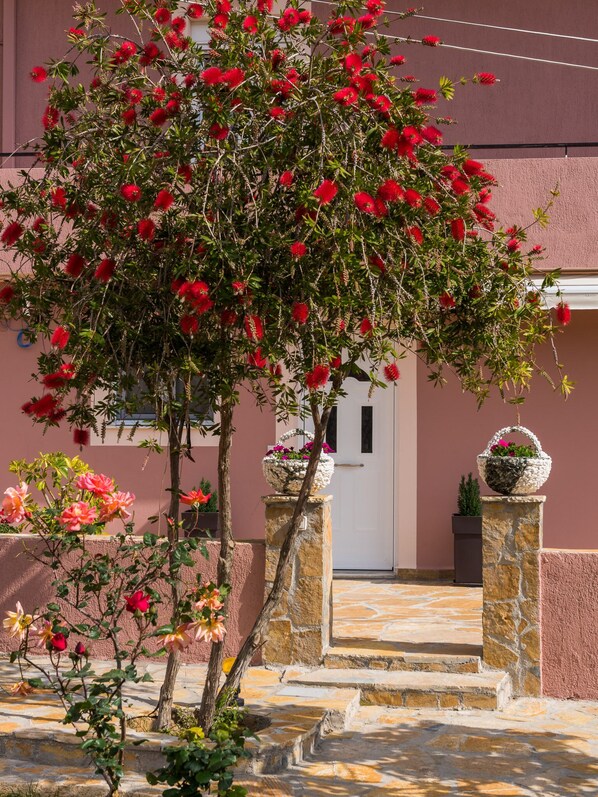 A building with a stone staircase leading to a white door, surrounded by red flowering trees and pink roses.