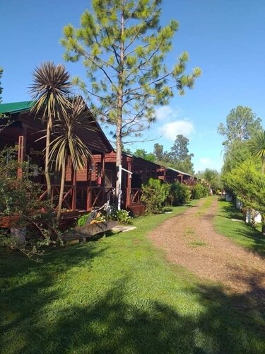 Verde y Sol en la Colonia