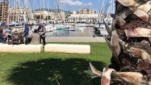 Un puerto deportivo con barcos amarrados, una palmera al frente y gente cerca del agua.