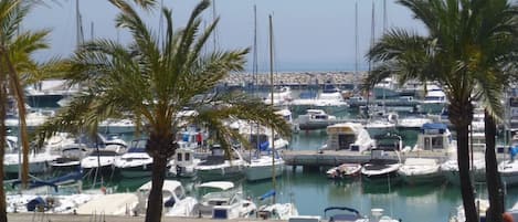 Marina