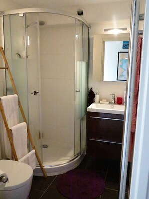 Shower, hair dryer, towels, soap