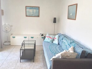 Een smart-tv, een dvd-speler en boeken