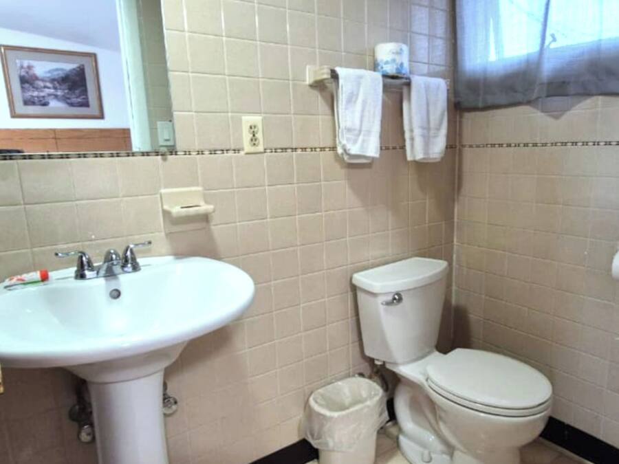 Un baño con lavamanos blanco, inodoro y cubo de basura.