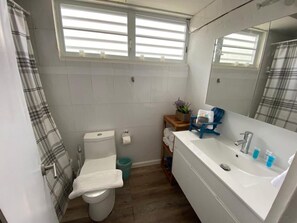 A bathroom with a toilet, sink, and window.