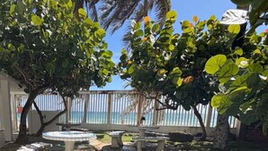 Un patio con mesas y bancos de piedra, rodeado de vegetación exuberante y vistas al mar.