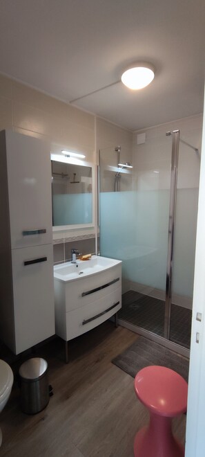 Shower, hair dryer