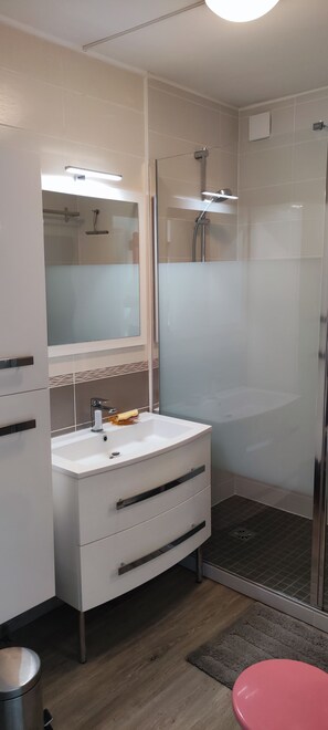 Shower, hair dryer
