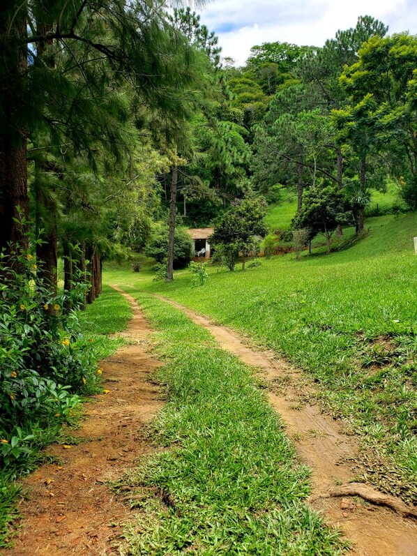 A dirt path through a lush green landscape with trees and a small building in the distance.