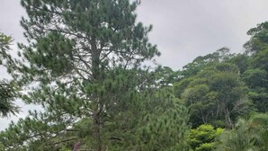 住宿一隅
